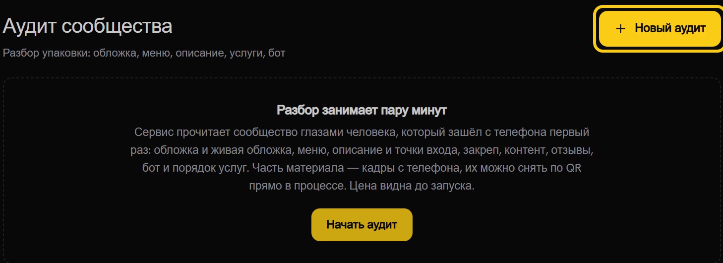 Шапка вкладки «Аудит сообщества»: обведённая кнопка «Новый аудит» и карточка «Разбор занимает пару минут» с кнопкой «Начать аудит»
