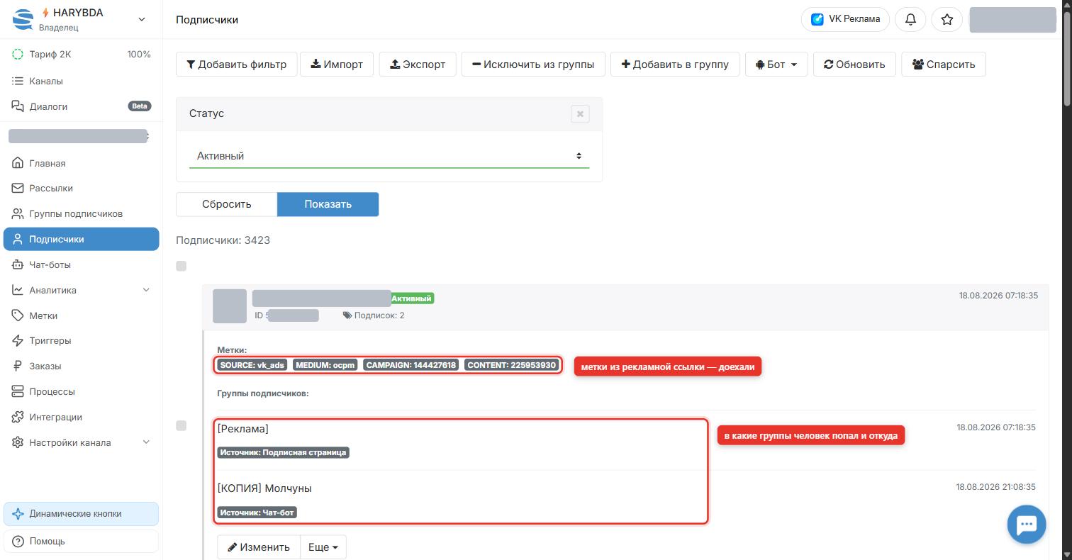 Карточка подписчика в Senler: блок «Метки» с источником vk_ads и список групп подписчиков с источниками