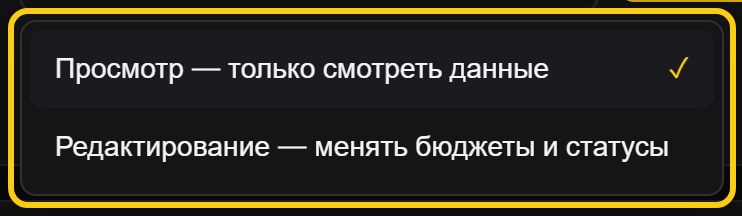 Раскрытый список ролей: «Просмотр — только смотреть данные» и «Редактирование — менять бюджеты и статусы»